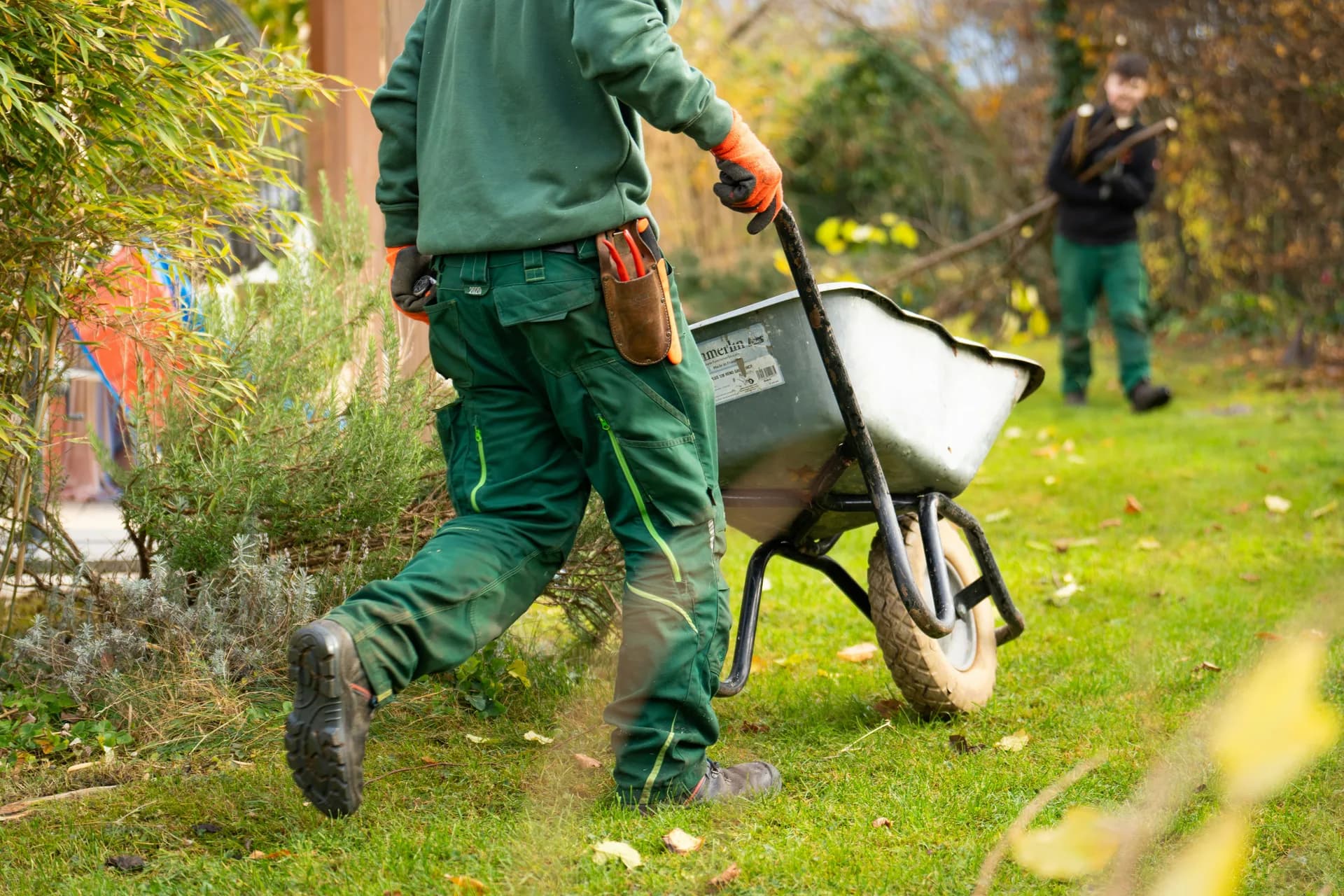 Landscaping, the finished site